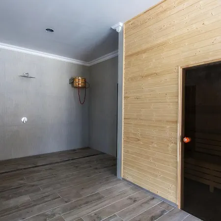 Szálloda Paryski Art & Business - Basen Jacuzzi Sauna Malpi Gaj Zakopane