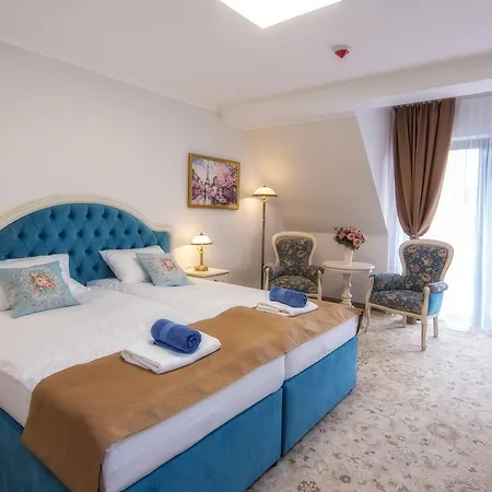 Szálloda Paryski Art & Business - Basen Jacuzzi Sauna Malpi Gaj Zakopane