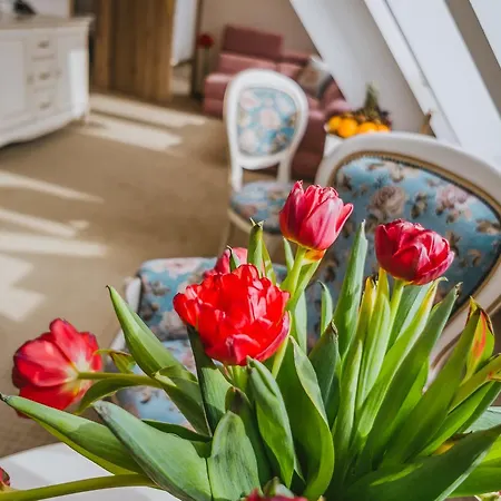 Paryski Art & Business - Basen Jacuzzi Sauna Malpi Gaj Szálloda Zakopane